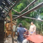BPBD: Angin kencang di Bantul sebabkan 22 kejadian pohon tumbang-1704285123