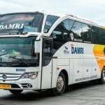 Ilustrasi - Armada Bus Damri. ANTARA/HO-Damri-1706088378