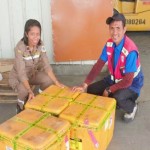 Karantina Timika tolak benih sayuran tanpa dokumen dari Purwakarta-1704182436