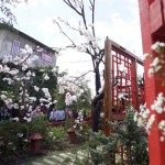 Kota Batu Jatim tambah desa tematik Kampung Sakura-1705916783