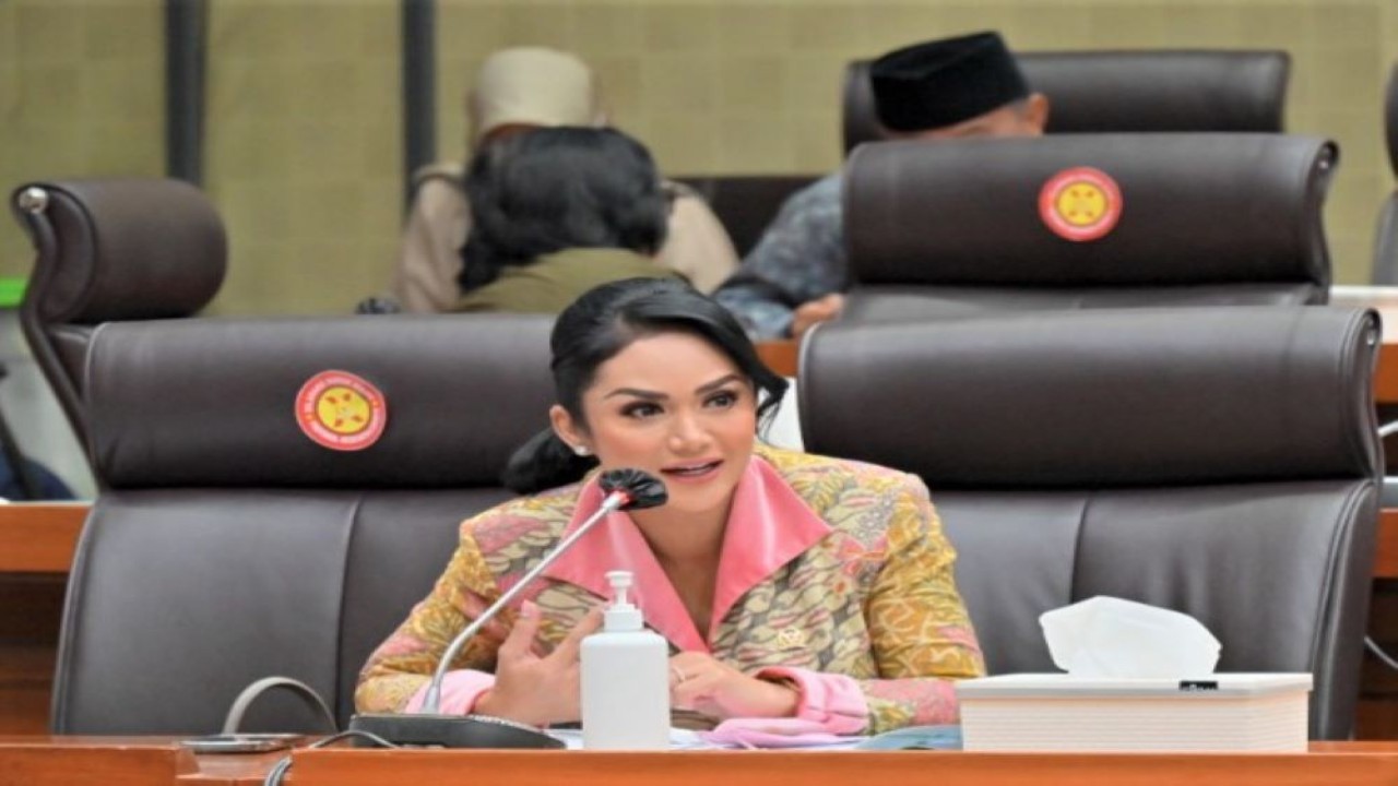 Anggota Komisi IX DPR RI Krisdayanti. Foto : Dok/Man