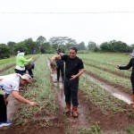 Pemprov Banten gencarkan tanam cabai manfaatkan pekarangan rumah-1705667002