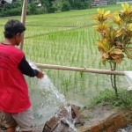 Petani Lebak pasang pompa satelit guna wujudkan swasembada pangan-1704788952