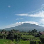 Petani lereng Gunung Marapi harapkan bantuan pemerintah-1706098238