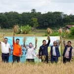 PLTS PT Bukit Asam untuk pompa irigasi dorong produktivitas pertanian-1704788021