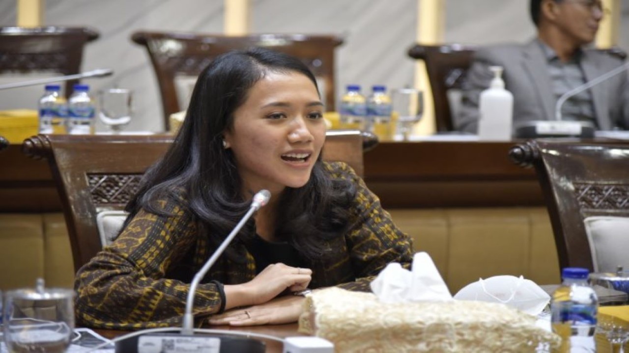 Anggota Komisi XI DPR RI Puteri Komarudin. Foto: Munchen/nr