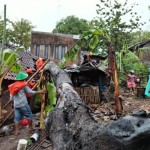 Sejumlah rumah di Bantul rusak tertimpa pohon tumbang saat hujan deras-1705650540