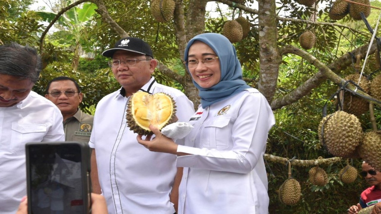 Wakil Ketua Komisi IV DPR RI Anggia Erma Rini saat mengikuti Kunker Reses Komisi IV DPR RI ke kawasan Kampung Durian, Desa Nglanggeran, Yogyakarta, Jumat (1/3/2024). Foto: Tiara/nr