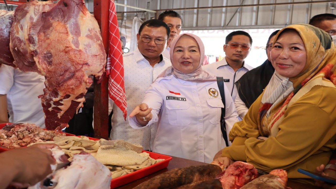 Anggota Komisi IV DPR RI Dwita Ria Gunadi saat meninjau ketersediaan pangan jelang Ramadan di Pasar Way Halim, Bandar Lampung, Provinsi Lampung pada kamis (7/3/2024). Foto: Ucha/nr