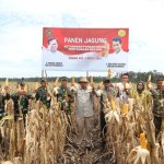 jagung-1710322046