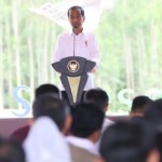 Jokowi-1709293322