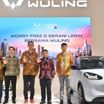 Wuling-1732280294