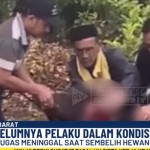 Hewan Kurban-1749436914