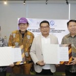 Periklindo-1755680353