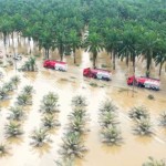 pertamina-1766141769