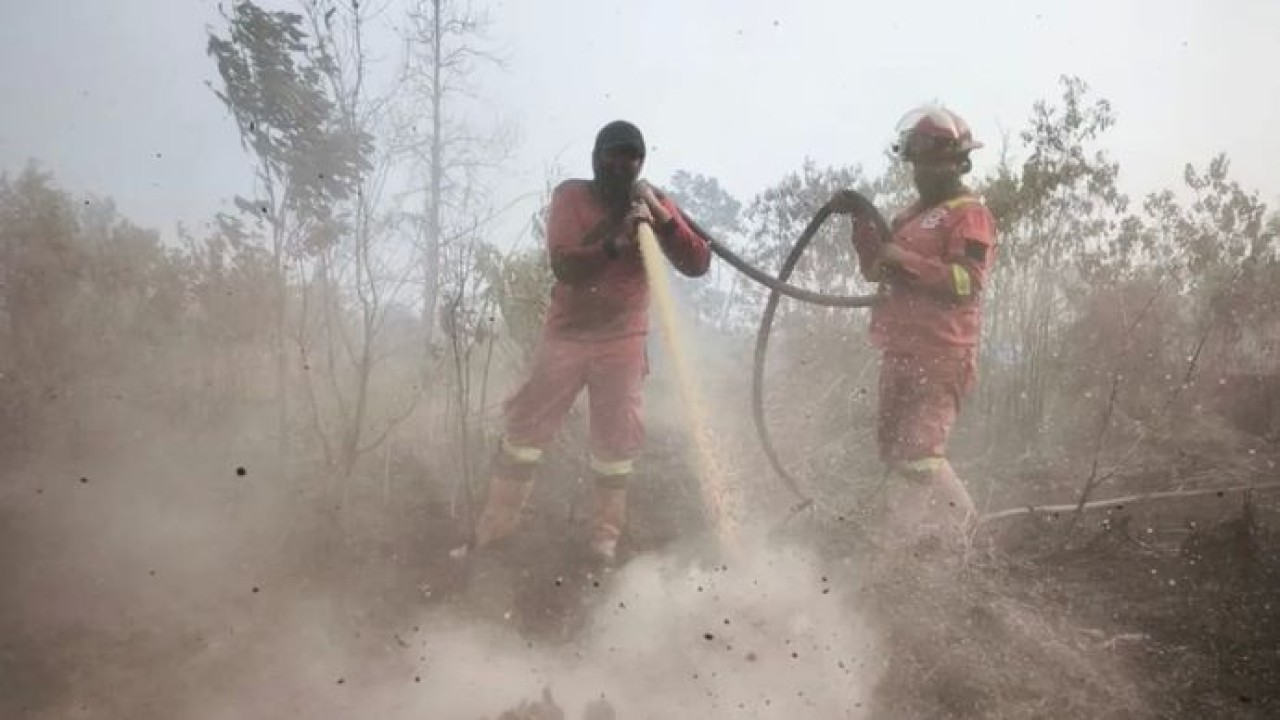 Manggala Agni Kemenhut melakukan pemadaman karhutla di wilayah Riau. ANTARA/HO-Kemenhut (Antara)