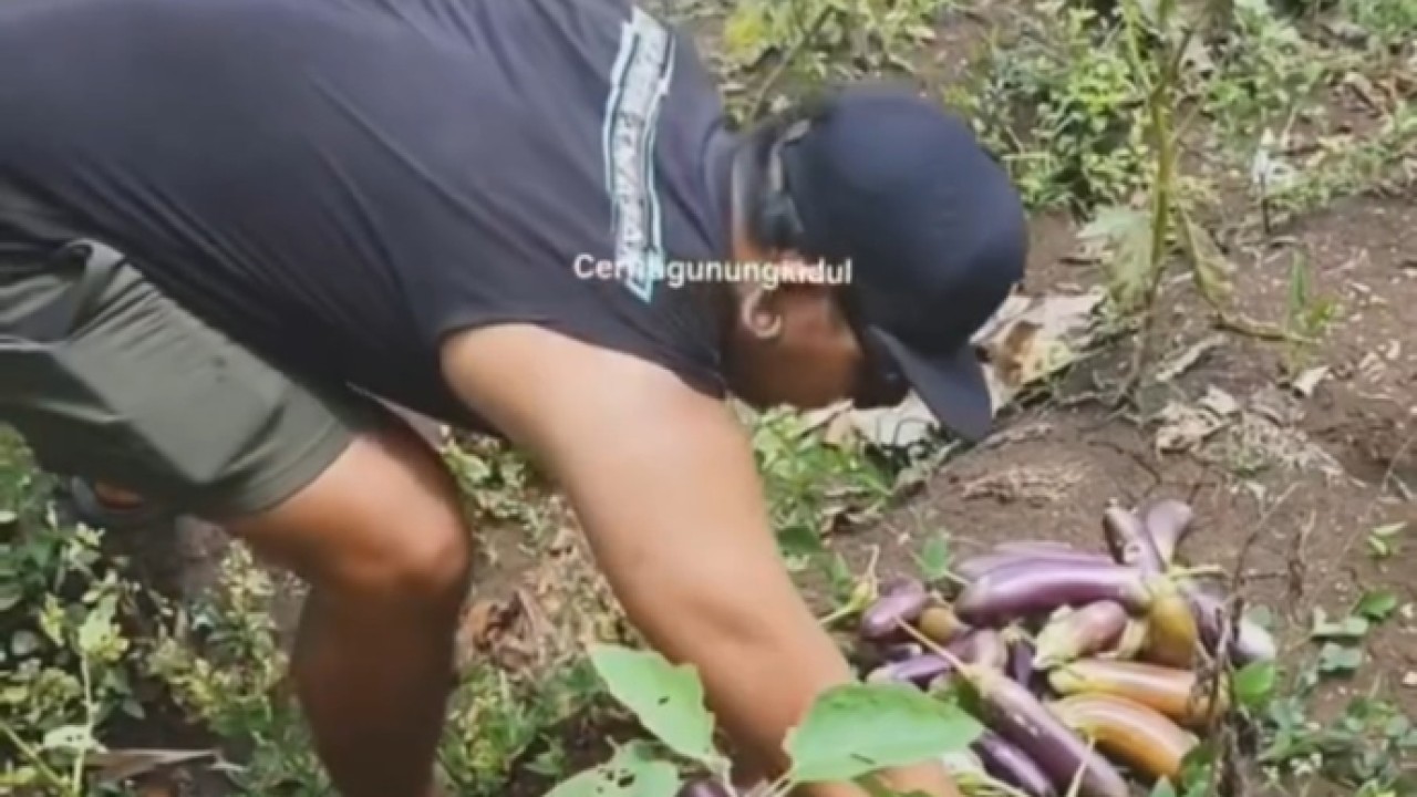 Komunitas Petani Punk. (Istimewa)