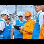 pln-1780030294