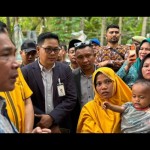 bangga-1780584625