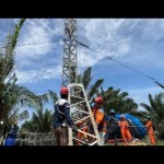 pln-1781243506