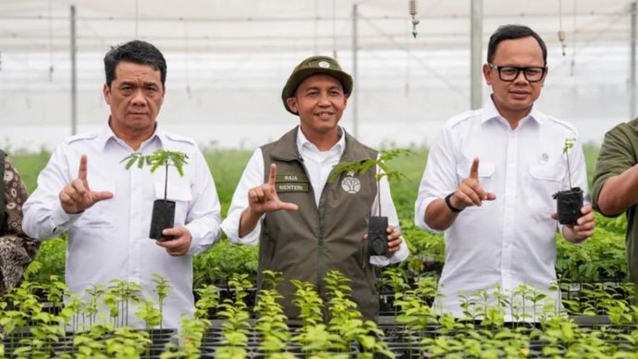 Menhut Raja Juli Antoni (tengah), Wamendagri Arya Bima (kanan), Wamendes PDT Ariza Patria dalam peresmian Pusat Persemaian Sriwijaya Kemampo di Sumatera Selatan, Jumat, 7 Agustus 2026. (Antara)